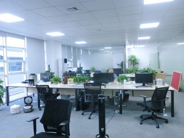 南通大型绿植公司